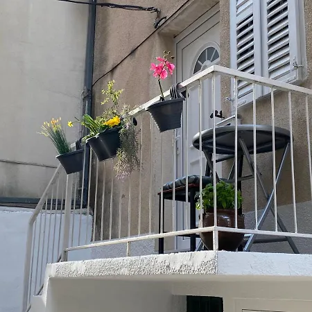 Calla Apartment